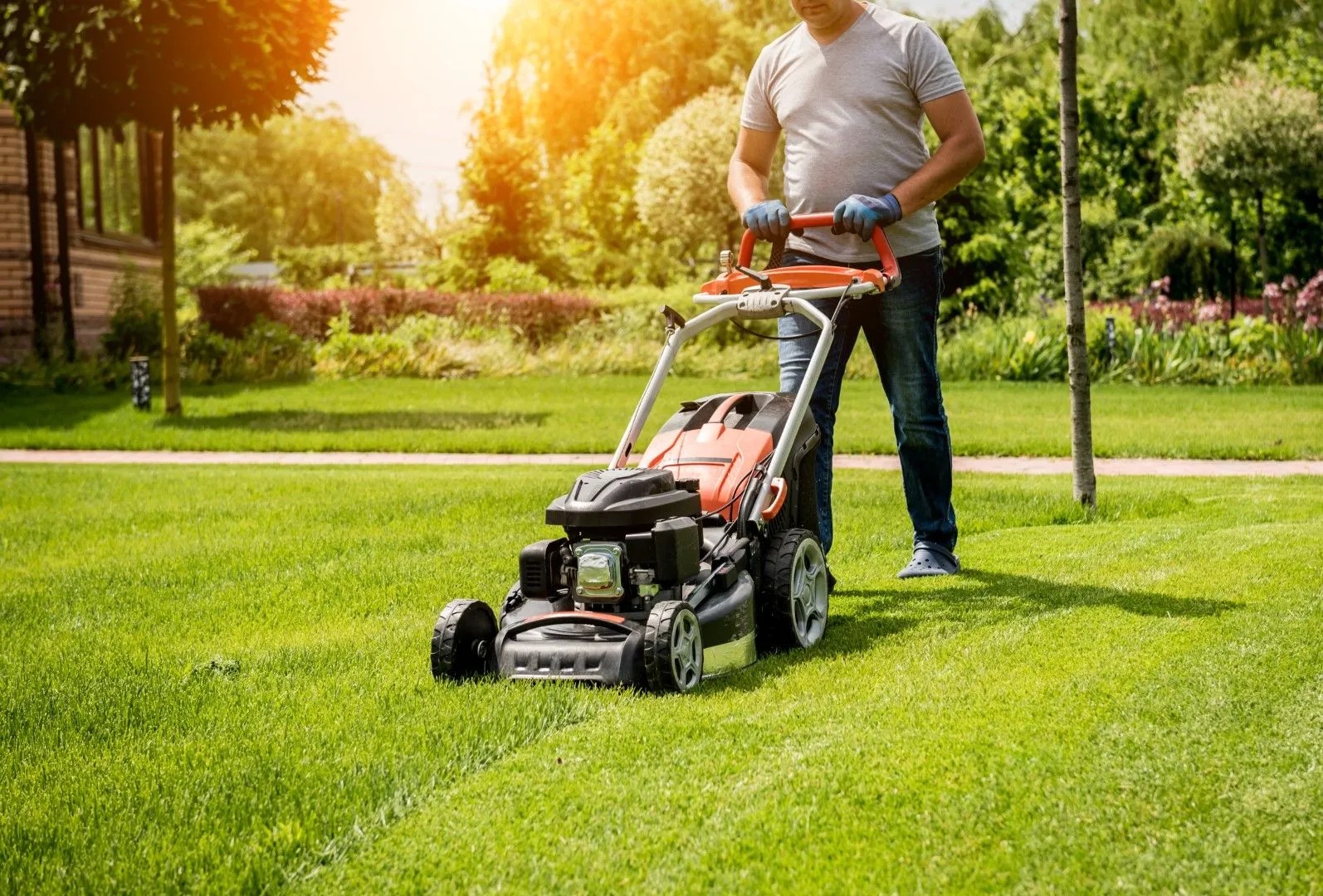 Lawn Maintenance
