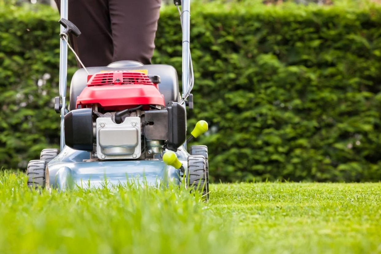 Garden Maintenance